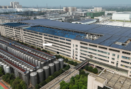 Industrial Solar Plant